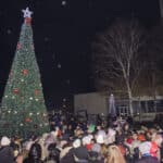 Коледната елха в Мездра