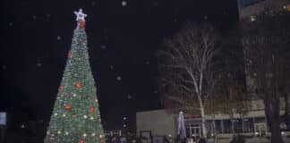 Коледната елха в Мездра