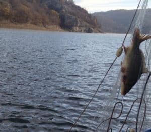 Язовир "Александър Стамболийски"