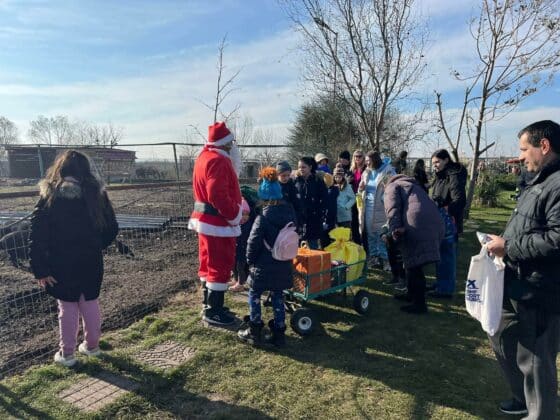 Коледни празници