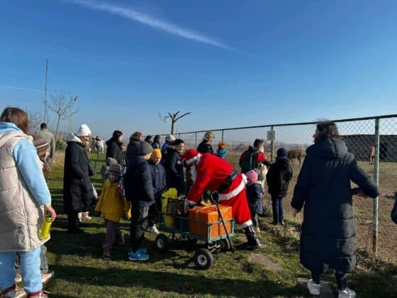 Коледни празници