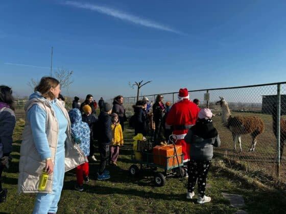 Коледни празници