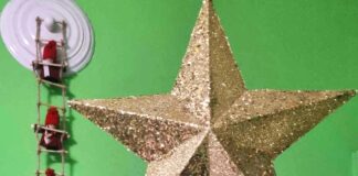 Коледна звезда