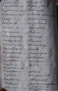 Фиг. 12. Речник на Маурицио Де Кастелацо, creative commons internet