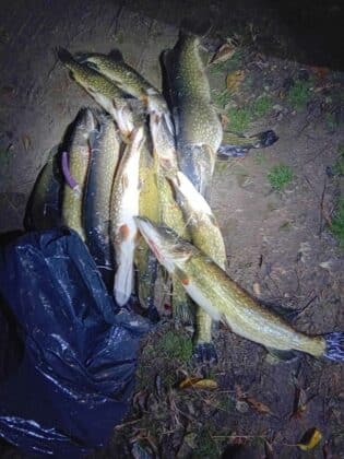 Акция на ИАРА