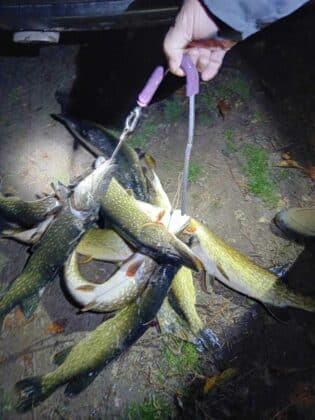 Акция на ИАРА