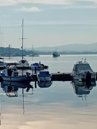 Акция на ИАРА