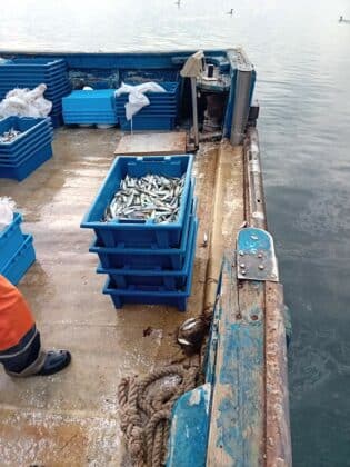 Акция на ИАРА