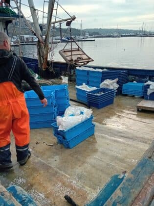 Акция на ИАРА