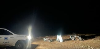 Акция на ИАРА