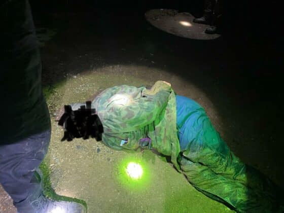 Акция на ИАРА