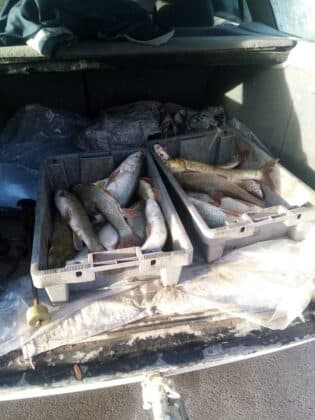 Акция на ИАРА