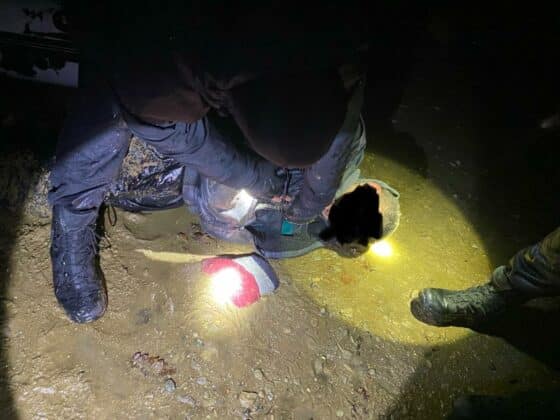 Акция на ИАРА