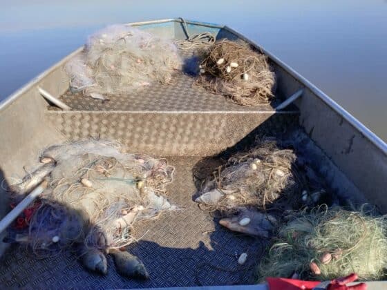 Акция на ИАРА