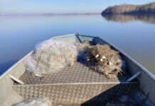 Акция на ИАРА