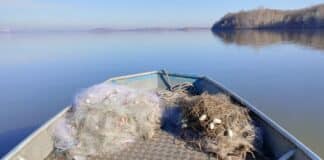 Акция на ИАРА