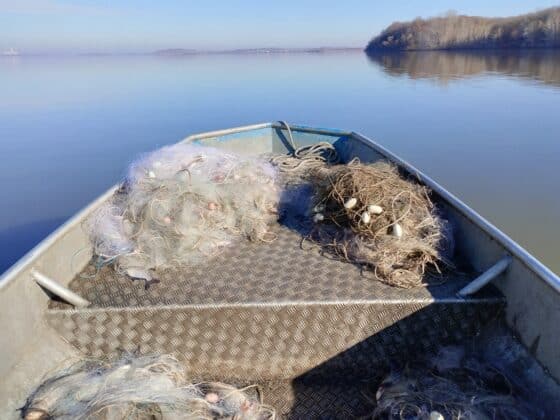 Акция на ИАРА