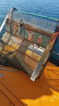 Акция на ИАРА