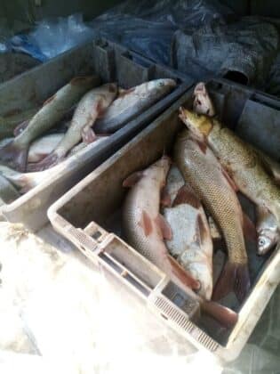 Акция на ИАРА