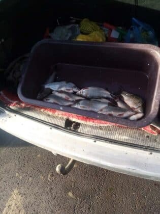 Акция на ИАРА