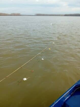 Акция на ИАРА