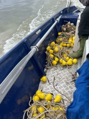 Акция на ИАРА