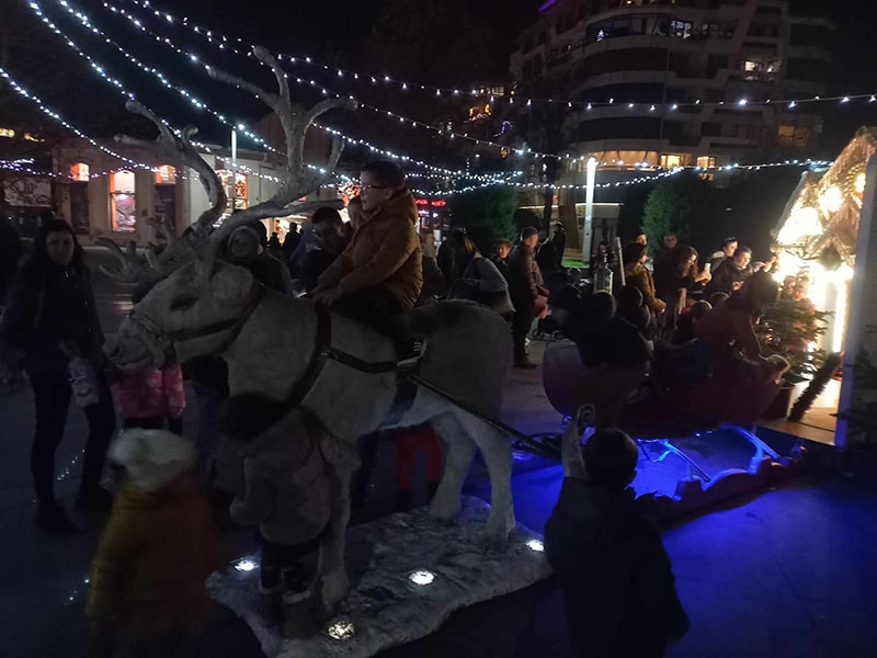 Служители от сектори Специализирани полицейски сили и Специалните тактически действия