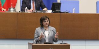 Корнелия Нинова