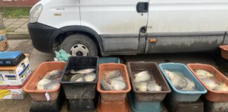 Проверки в Монтана