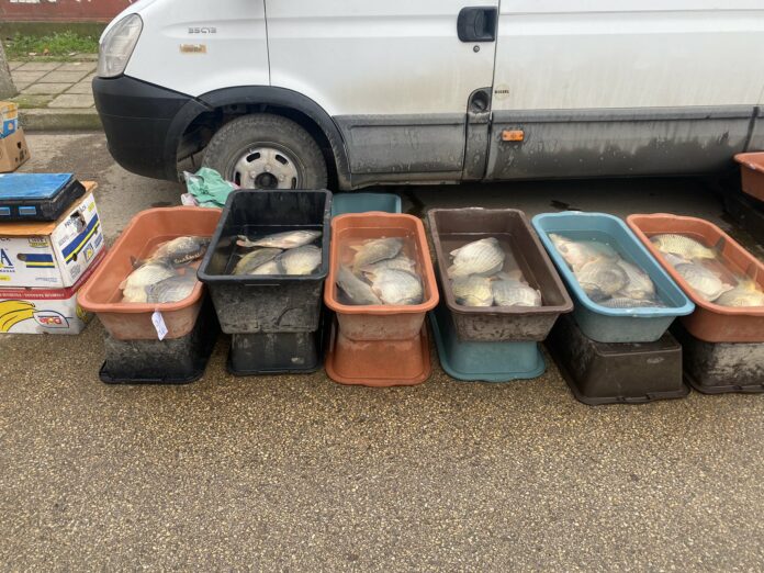 Проверки в Монтана