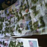 Наркооранжерия