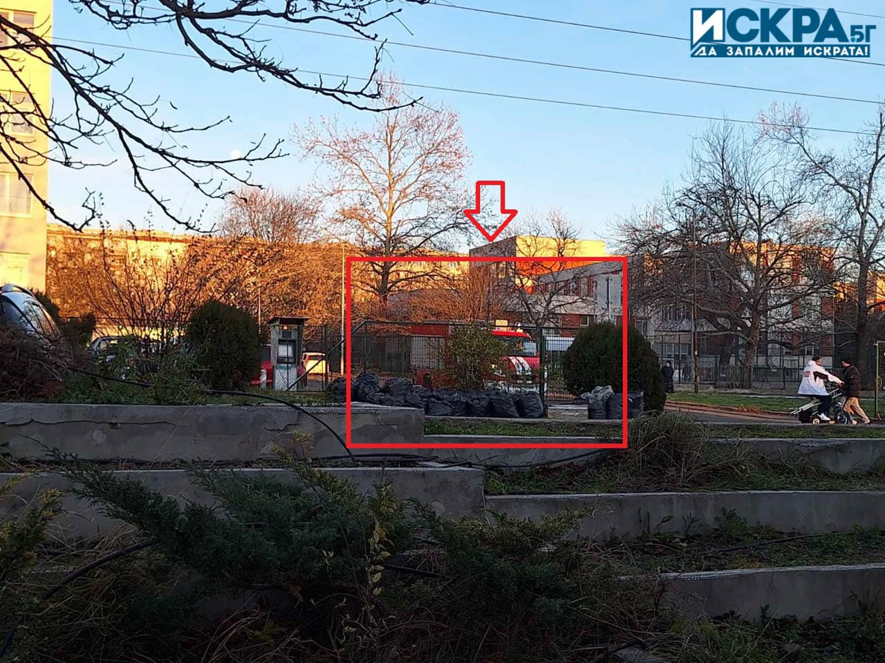 Живущи в бургаския ж к Славейков са успели да изгасят дърво