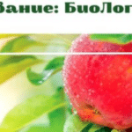 Информационна кампания "Призвание: БиоЛогичен!"