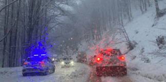 Задръстване на "Петрохан"