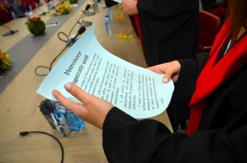 Общо 17 абсолвенти завършващи англоезичното обучение по Ветеринарна медицина се