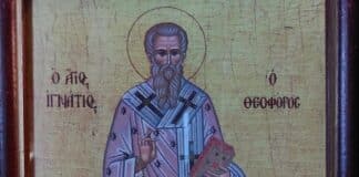 Свети Игнатий, Игнажден