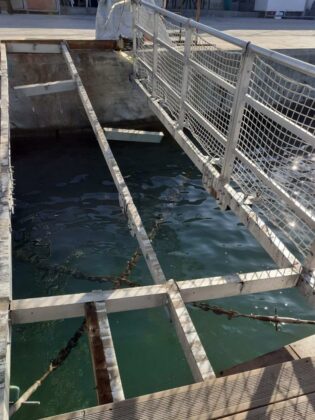 Поражения в пристанище Карантината