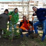 Кампания "Жива елха"