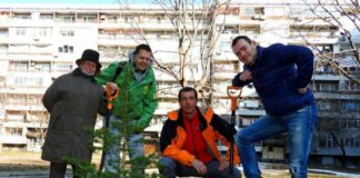 Кампания "Жива елха"