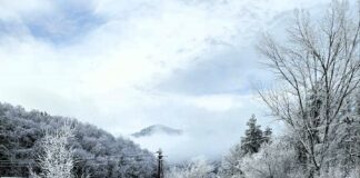 Заснежен път