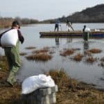 Платформа за птици