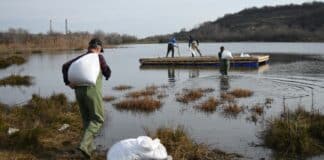 Платформа за птици