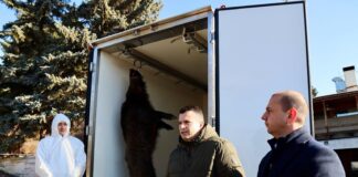 Демонстрация