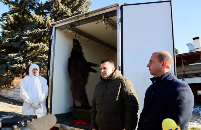 Демонстрация