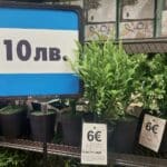 Двойно обявяване на цени