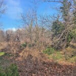 Морската градина