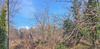 Морската градина