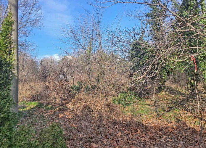 Морската градина