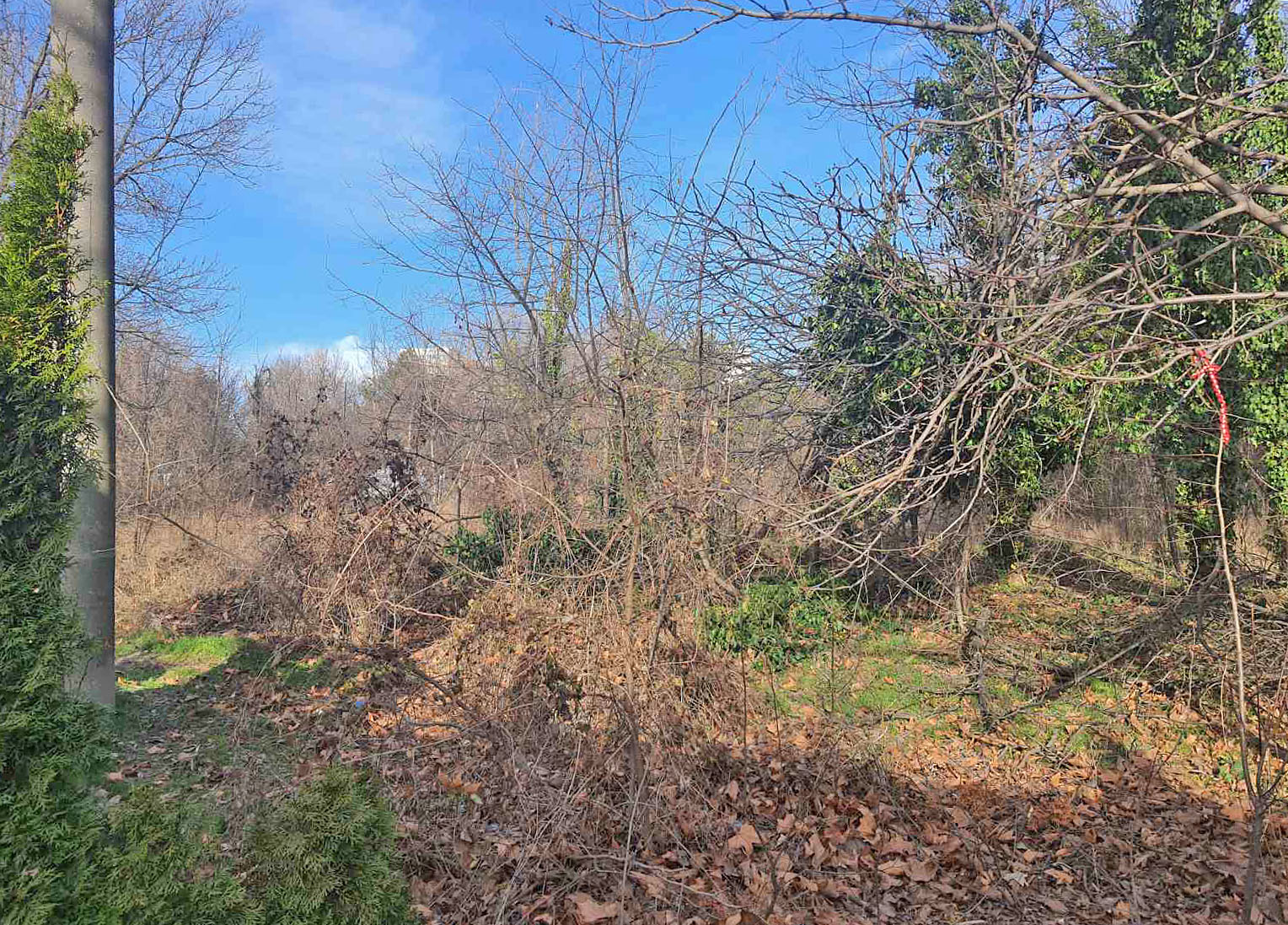 Огромни площи около 100 декара от Морската градина не са