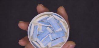 Никотинови паучове